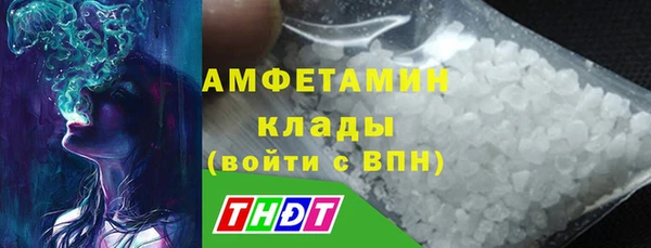 сатива Баксан