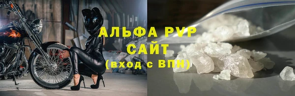сатива Баксан