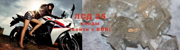 сатива Баксан